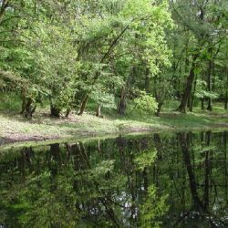 2004.05.08 Wanderung Vogelsdorf002